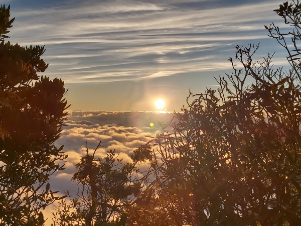 Sunrise and clouds of sea near Smangus